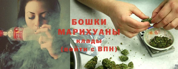 стафф Аркадак