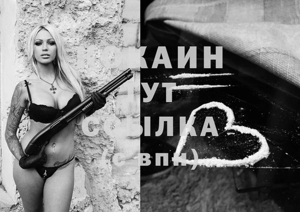 стафф Аркадак
