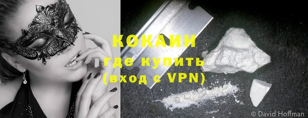 стафф Аркадак