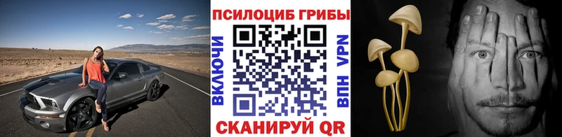 магазин продажи   Нижние Серги  Галлюциногенные грибы GOLDEN TEACHER 